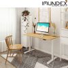 Phụ kiện bàn nâng hạ bằng điện (2 động cơ điện) Imundex 7520201