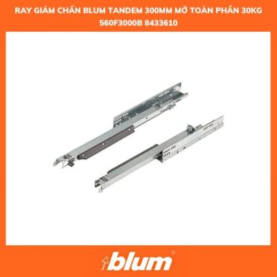 Ray Truot Blum TANDEM 300mm 560F3000B 8433610 Mo Toan Phan 30kg 600x600 1